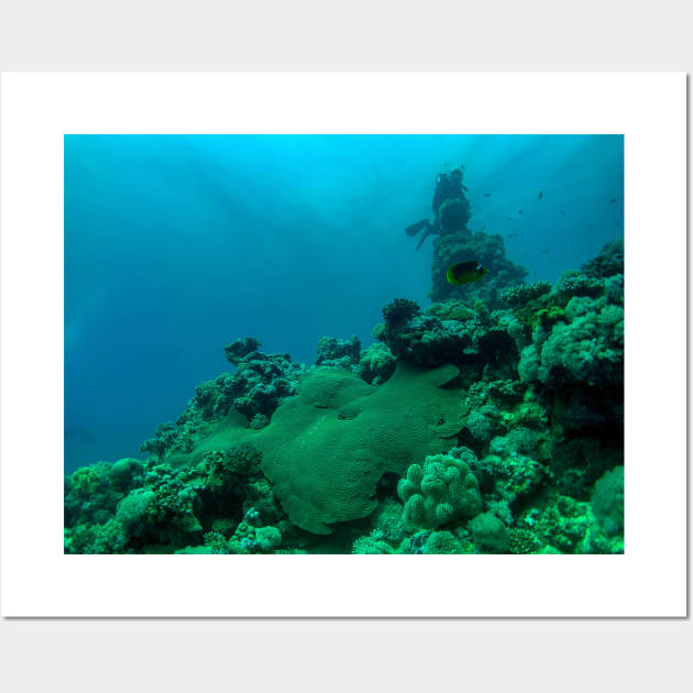 Coral reef and scuba diver Wall Art by likbatonboot